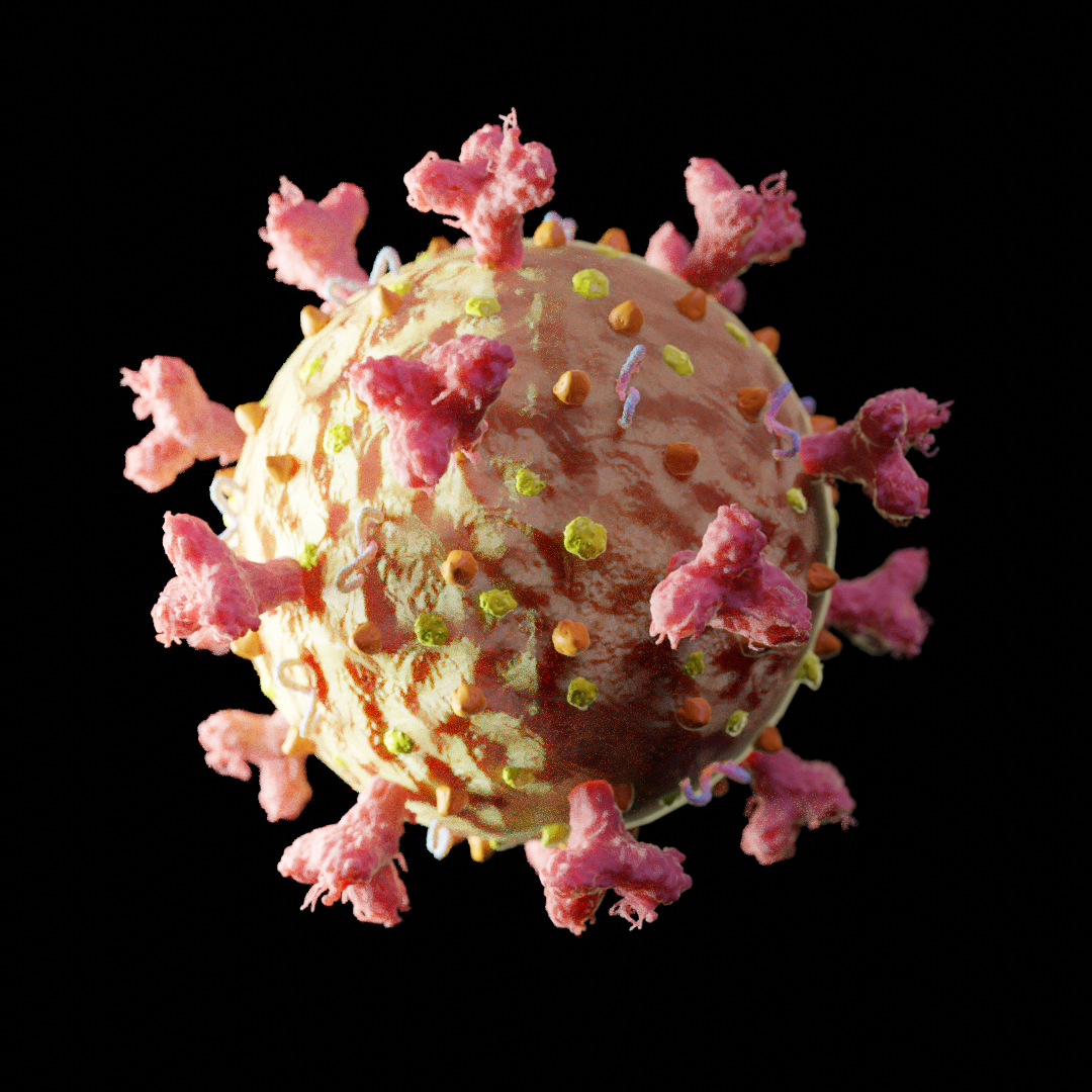Coronavirus SARS-Co-V2 preview image 1